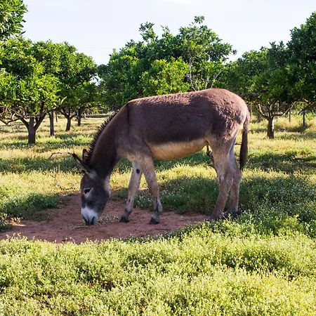 Tapada Dos Machados *