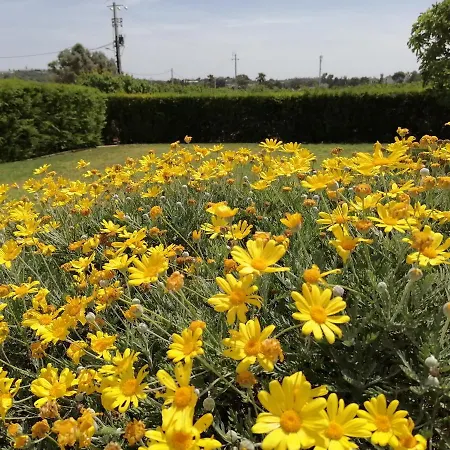 Tapada Dos Machados 乡村民宿 *