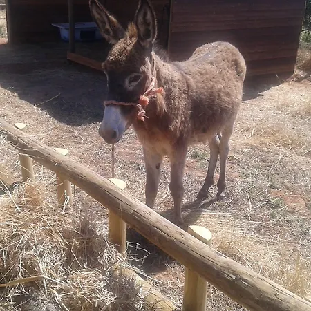 Tapada Dos Machados * Donalda