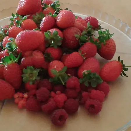 Tapada Dos Machados Donalda