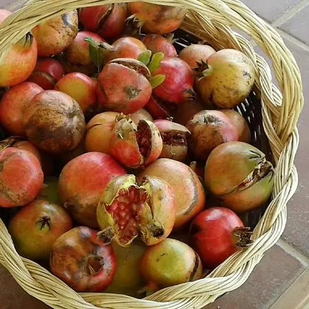 Tapada Dos Machados Donalda