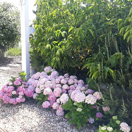 Tapada Dos Machados *