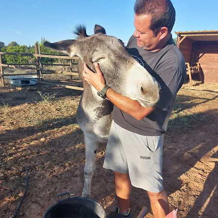 Tapada Dos Machados Venkovský dům *